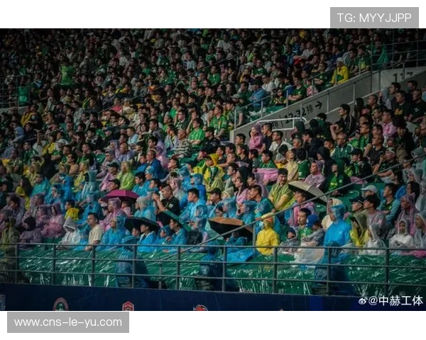 球迷雨中守望：意甲比赛日的忠诚与热情